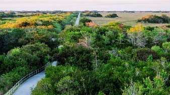 village-toyota-celebrates-summer-everglades