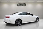 2020 Mercedes-Benz CLS CLS 450 4MATIC®