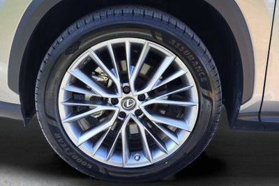 2023 Lexus NX 350h Premium