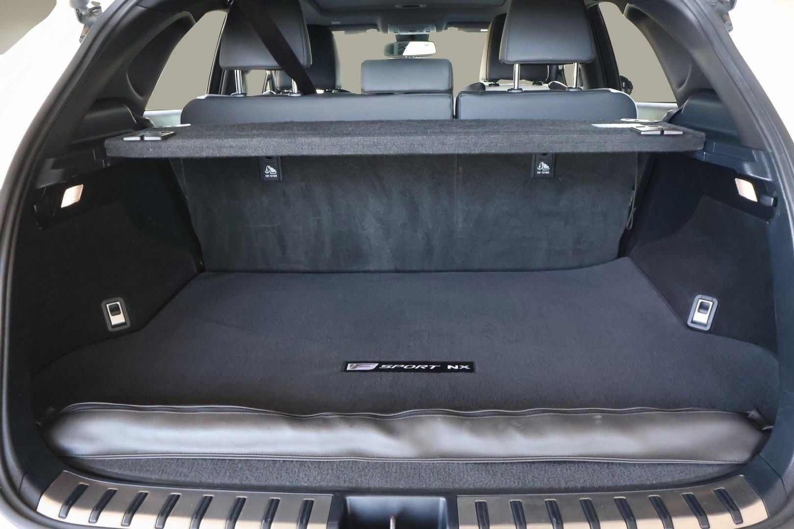 2021 Lexus NX 300 F Sport