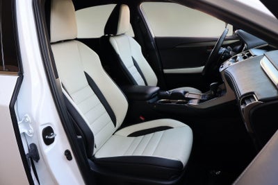 2021 Lexus NX 300 F Sport