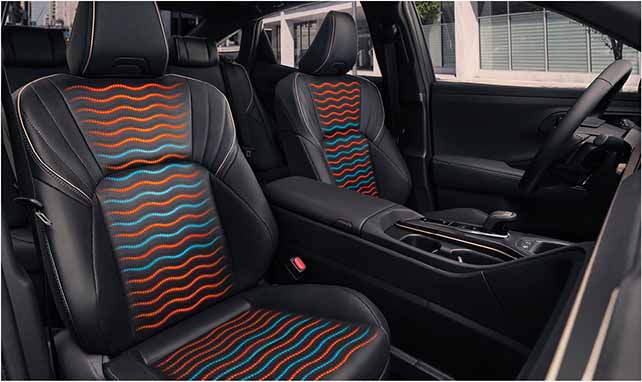 Heated and cooled passenger and driver seats