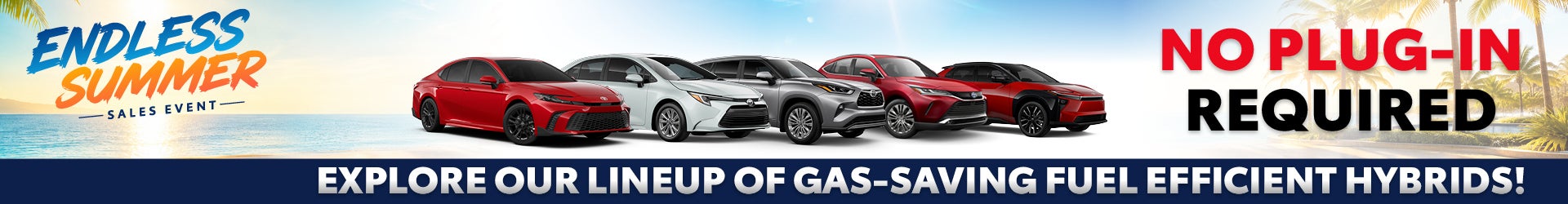 hybrid special offer